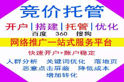 百度竞价排名实战：某电商平台的成功之路
